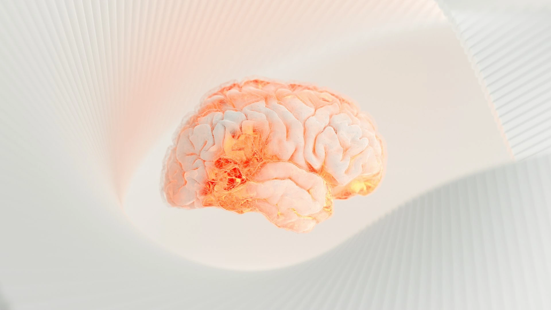 a close up of a human brain on a white surface
